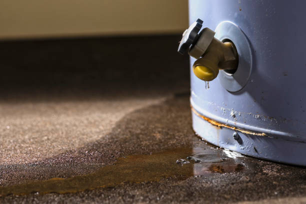 Best Flood damage cleanup  in Pontoon Beach, IL