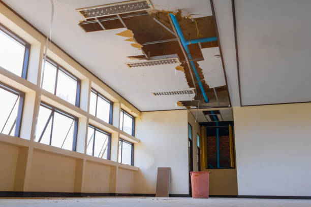  Pontoon Beach, IL Water damage restoration Pros