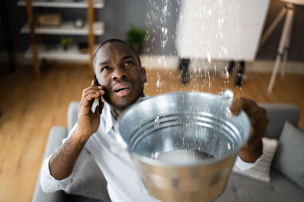 Best Mold removal after water damage  in Pontoon Beach, IL