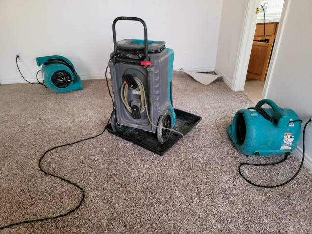 Best Commercial water damage restoration  in Pontoon Beach, IL