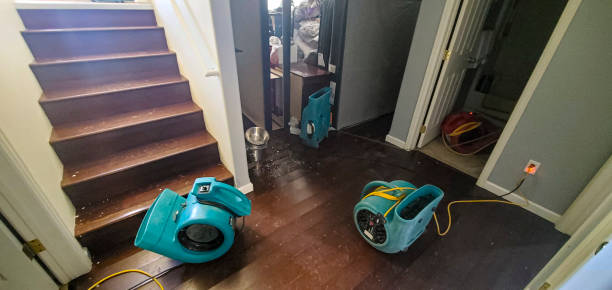Best Flood restoration services  in Pontoon Beach, IL