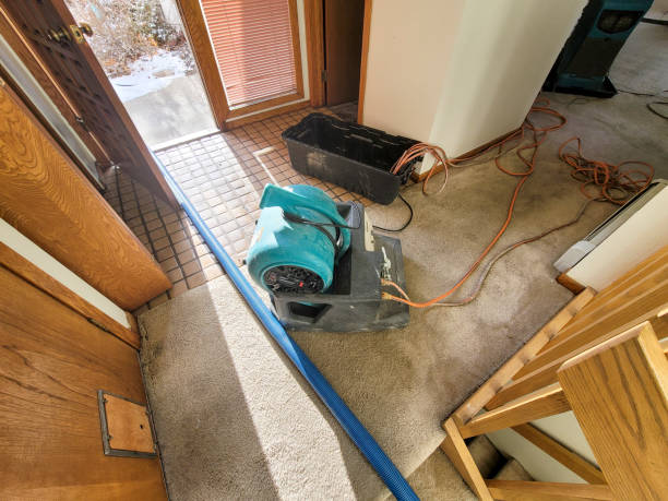 Best Flood damage cleanup  in Pontoon Beach, IL