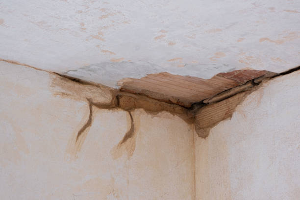 Best Water damage cleanup near me  in Pontoon Beach, IL