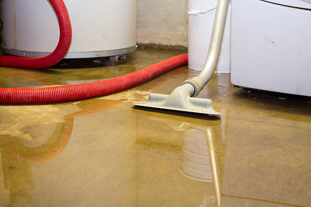 Best Water damage restoration specialists  in Pontoon Beach, IL