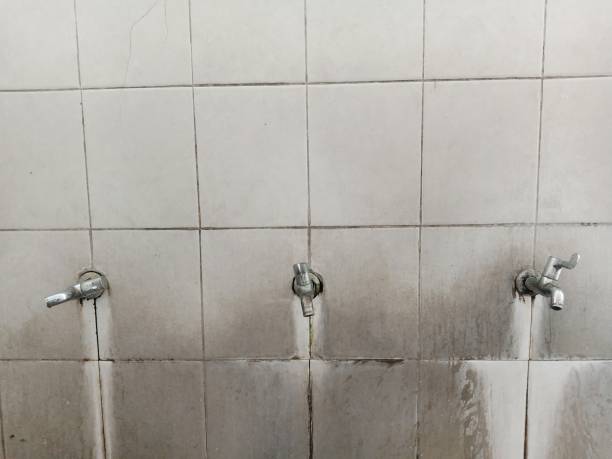 Best Flooded house restoration  in Pontoon Beach, IL