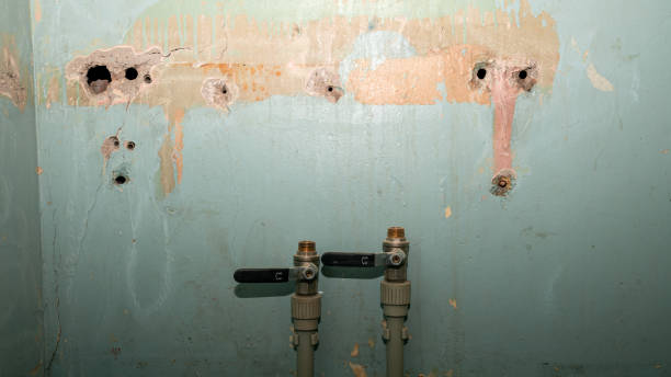 Local water damage restoration in IL