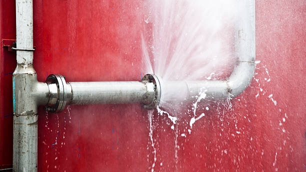 Best Water damage restoration near me  in Pontoon Beach, IL